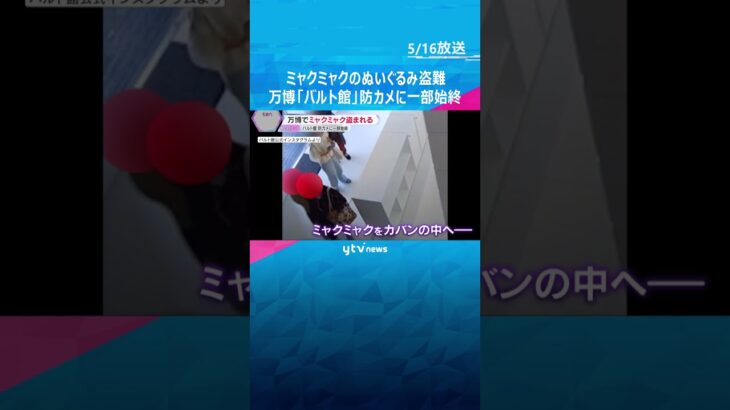 【映像】万博バルト館でミャクミャクのぬいぐるみ盗難　防犯カメラに一部始終　「悲しいので返して」　#shorts #読売テレビニュース