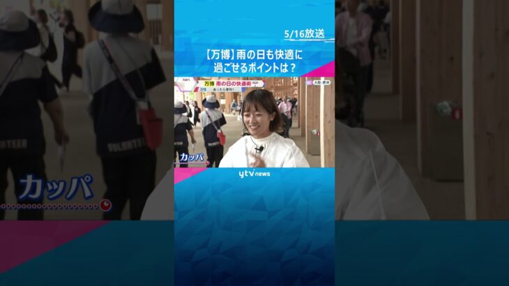【万博】雨の日も快適に過ごせるポイントは？「雨の日にあって良かったもの」担当記者が3つを紹介　#shorts #読売テレビニュース