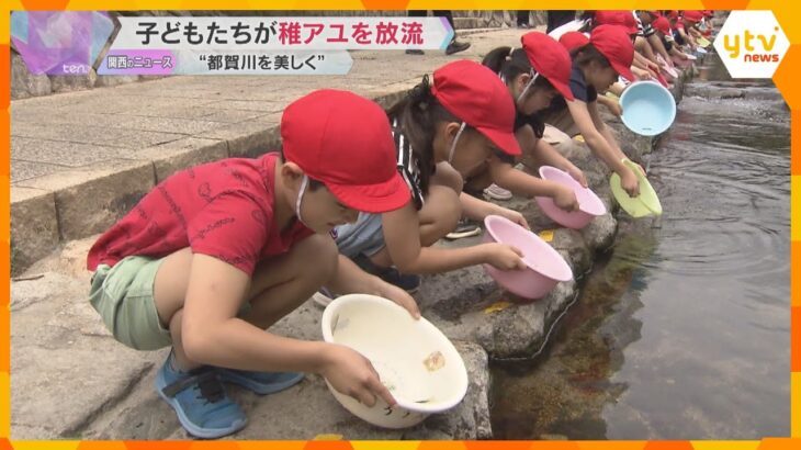 “アユの泳ぐ美しい川に” 都賀川で子どもたちが稚アユを放流「元気で帰ってきてほしい」神戸市灘区