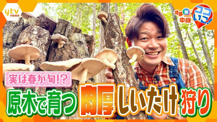 実は春が旬！？原木で育てる“肉厚しいたけ”の収穫体験＆絶品バーベキュー【す・またん！】