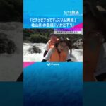 「ビチョビチョです。スリル満点」急流楽しむ『いかだ下り』和歌山、三重、奈良の県境流れる北山川　#shorts #読売テレビニュース