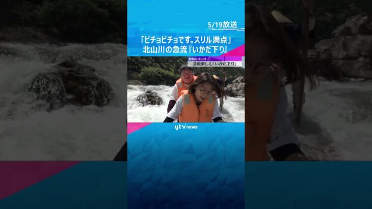 「ビチョビチョです。スリル満点」急流楽しむ『いかだ下り』和歌山、三重、奈良の県境流れる北山川　#shorts #読売テレビニュース