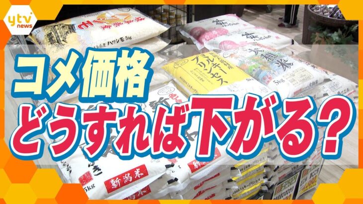 【解説】高騰続くコメの価格　どうすれば下がる？　価格の高止まりが続くカラクリとは？