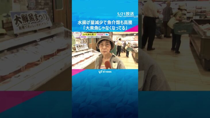 「なにもかも上がっている…」「大衆魚じゃない」水揚げ量減少で魚介類も高騰　サバ缶詰の生産停止も　#shorts #読売テレビニュース