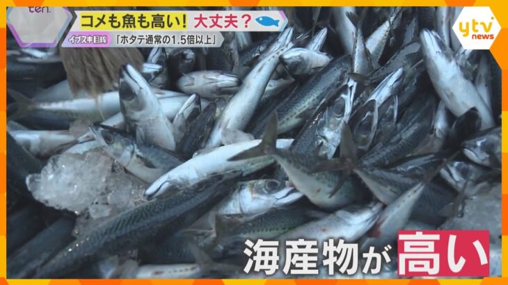 「なにもかも上がっている…」「大衆魚じゃない」水揚げ量減少で魚介類も高騰　サバ缶詰の生産停止も