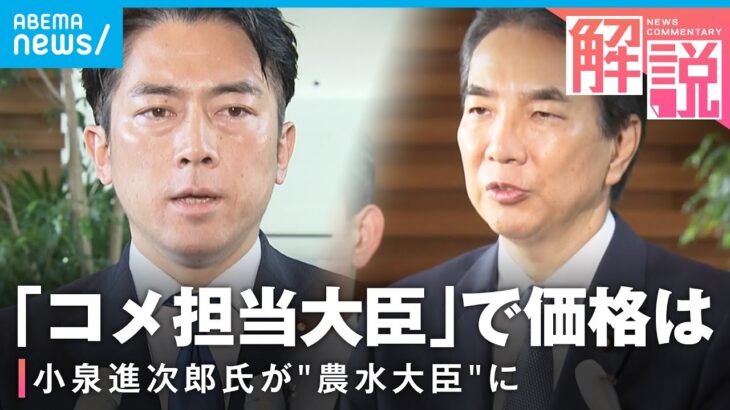 【農水大臣】進次郎氏起用でコメ価格下がる？「小泉氏は増産に切り替えるべきと…」“更迭”江藤氏は喋りすぎ？解説｜政治部・千々岩官邸キャップ