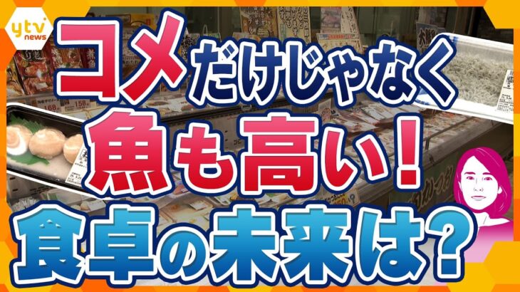 【イブスキ解説】コメだけじゃない！海産物も高騰　「ホタテ通常の1.5倍以上」　サバ漁獲量半分以下に…　養殖は食卓の救世主に？　人気の魚も“次世代型”　食卓の未来大丈夫！？