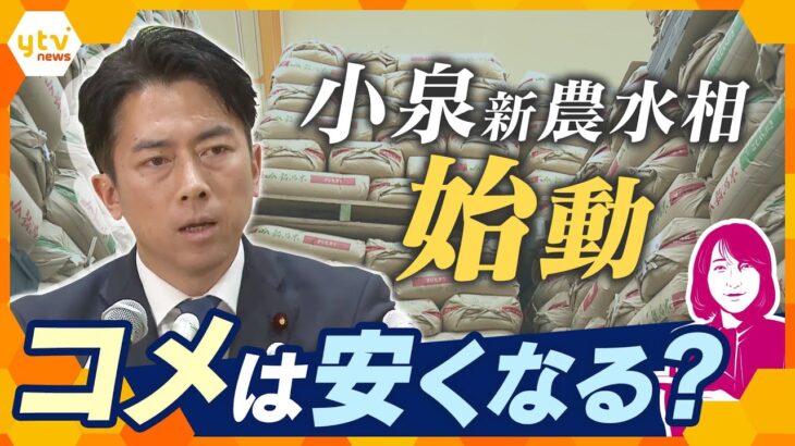【ヨコスカ解説】コメどう変わる？食卓に届く？　小泉新農水相「スピードを重視していく」石破首相「3000円台でなければならない」　「とにかくコメ」どんな政策？　備蓄米の随意契約で流通どう促進？