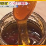 【万博】「お花感が強い」「濃厚」世界最貧国「ブルンジ」ブースで提供される特産品のハチミツ到着