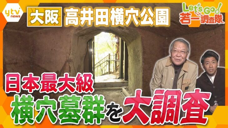 【若一調査隊】日本最大級の横穴墓群「高井田横穴公園」の謎　有名な線刻壁画　貴重な石棺が残る横穴　掘削した人物の特徴とは？　王族クラスが眠る円墳
