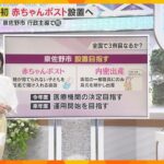 【解説】「赤ちゃんポスト」と「内密出産」全国初“自治体主導”で大阪・泉佐野市が設置目指す理由は？