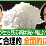 【攻めの生産】コメ輸出は農家の経営リスクヘッジに？小泉大臣「海外マーケットも開いていく」中長期的な政策のあるべき姿は…｜アベヒル