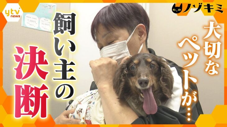 ペットに向き合う飼い主の決断　命を左右する決断は突然に…　厳しい現実に突きつけられ自問自答、後悔の日々【かんさい情報ネット ten.特集/ノゾキミ】