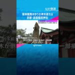 樹齢850年の坂本龍馬ゆかりの神木倒れる　本殿や末社の一部破損　京都・武信稲荷神社　#shorts #読売テレビニュース