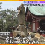 樹齢850年の坂本龍馬ゆかりの神木倒れる　本殿や末社の一部破損、ケガ人はなし　京都・武信稲荷神社
