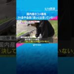 国内産のコメ価格　JA全中会長「高いとは思っていない」　去年までの価格安や生産コスト上昇を指摘 #shorts　#読売テレビニュース
