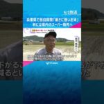 兵庫県で独自開発「暑さに強いコメ」 約1万種類の中から品種を1つ厳選　秋には県内スーパーで販売へ #shorts　#読売テレビニュース