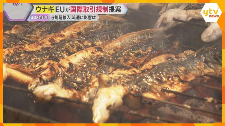 暑い夏の定番「ウナギ」今年は安くなる？稚魚が10年ぶりの大豊漁　一方で新たな国際取引規制の動きも