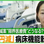 【11万床削減】“限界医療費”改革案に不安の声も…専門家「必要なのは病床数より人員」“機能転換”で1兆円節減&質も向上？｜アベヒル