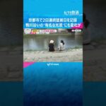 「この暑さは異常。体がついてこない」京都市で2日連続猛暑日　鴨川沿いの“有名な光景”にも変化が… #tiktokでニュース #読売テレビニュース