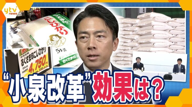 農政改革でコメ平均3000円台もまだまだ高い銘柄米、コメの価格はどうなる？　”小泉改革”の効果は？【かんさい情報ネット ten.特集】