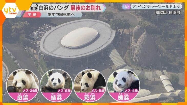 【中継】パンダ4頭と最後のお別れ「パンダラブ」観覧は午後4時半まで　多くの人が訪れる　あす返還