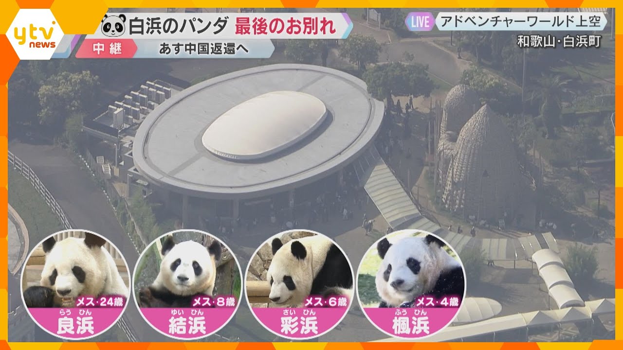 【中継】パンダ4頭と最後のお別れ「パンダラブ」観覧は午後4時半まで　多くの人が訪れる　あす返還