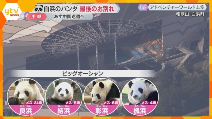 【中継】パンダ4頭と最後のお別れ「見送りイベント」に立ち見含め3500人訪れる　あす中国返還