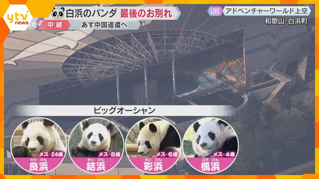 【中継】パンダ4頭と最後のお別れ「見送りイベント」に立ち見含め3500人訪れる　あす中国返還