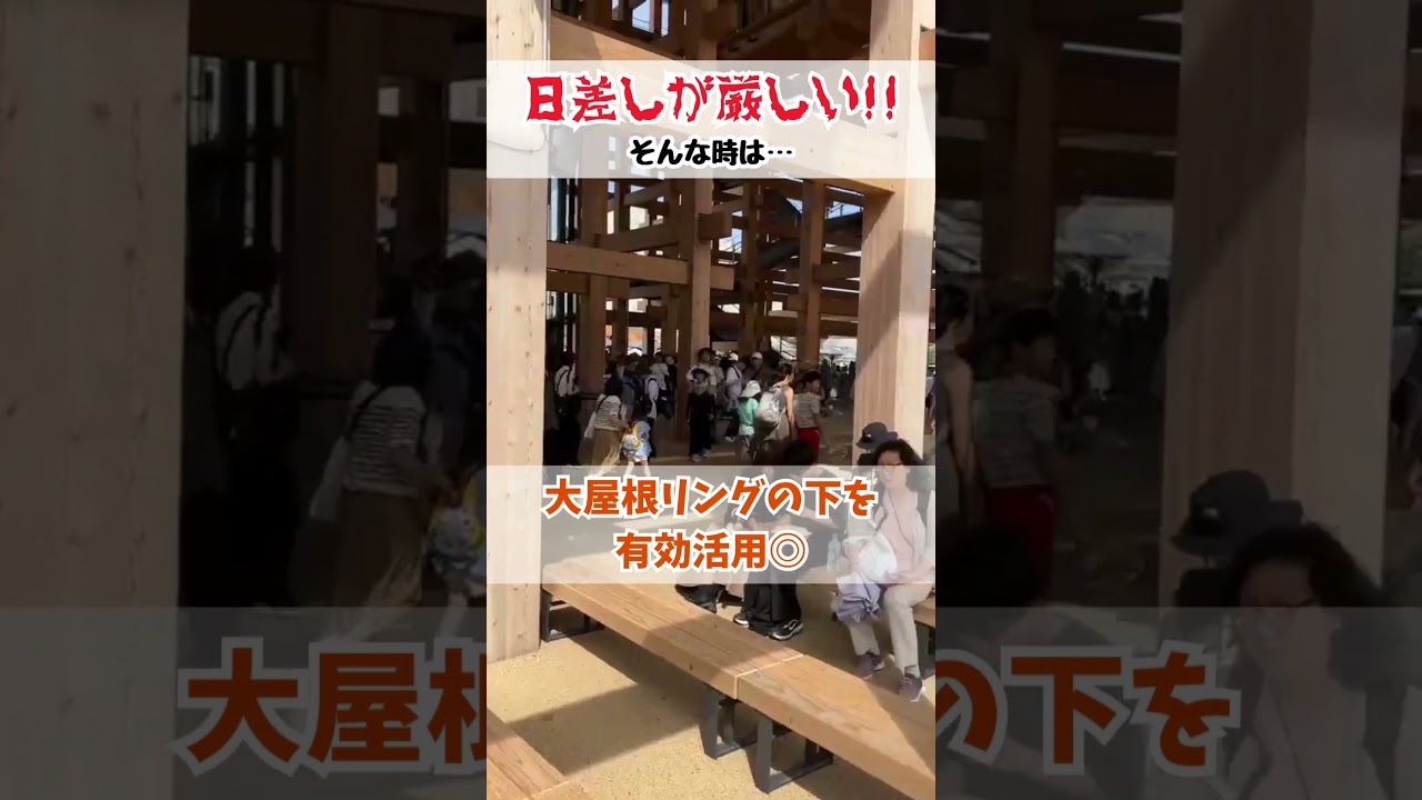 【万博】6/16 久々の晴れで気温上昇！熱中症に気をつけて！#大阪関西万博 #万博 #読売テレビニュース #shorts