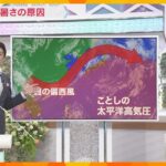 【蓬莱さんの天気】6月なのに「真夏の暑さ」近畿各地で蒸し暑い！熱中症は厳重警戒　コメのカビに注意