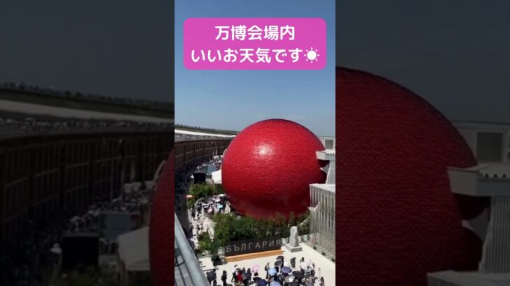 6/5万博会場はめちゃくちゃいいお天気！#shorts #読売テレビニュース #大阪関西万博 #万博