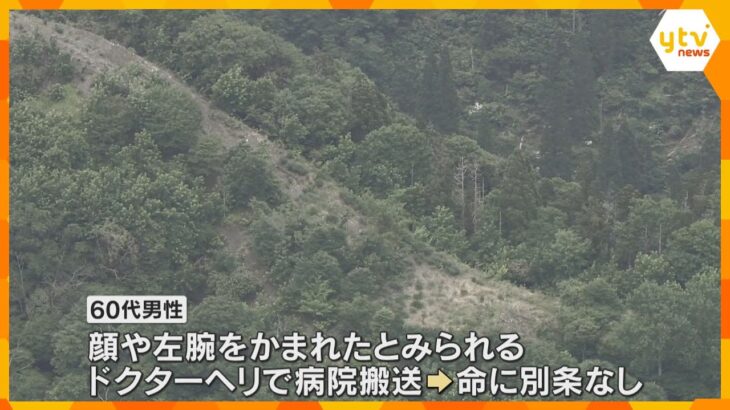 クマに襲われ60代の男性がケガ　体長1メートル以上か、顔や左腕をかむ　命に別条なし　滋賀・長浜市