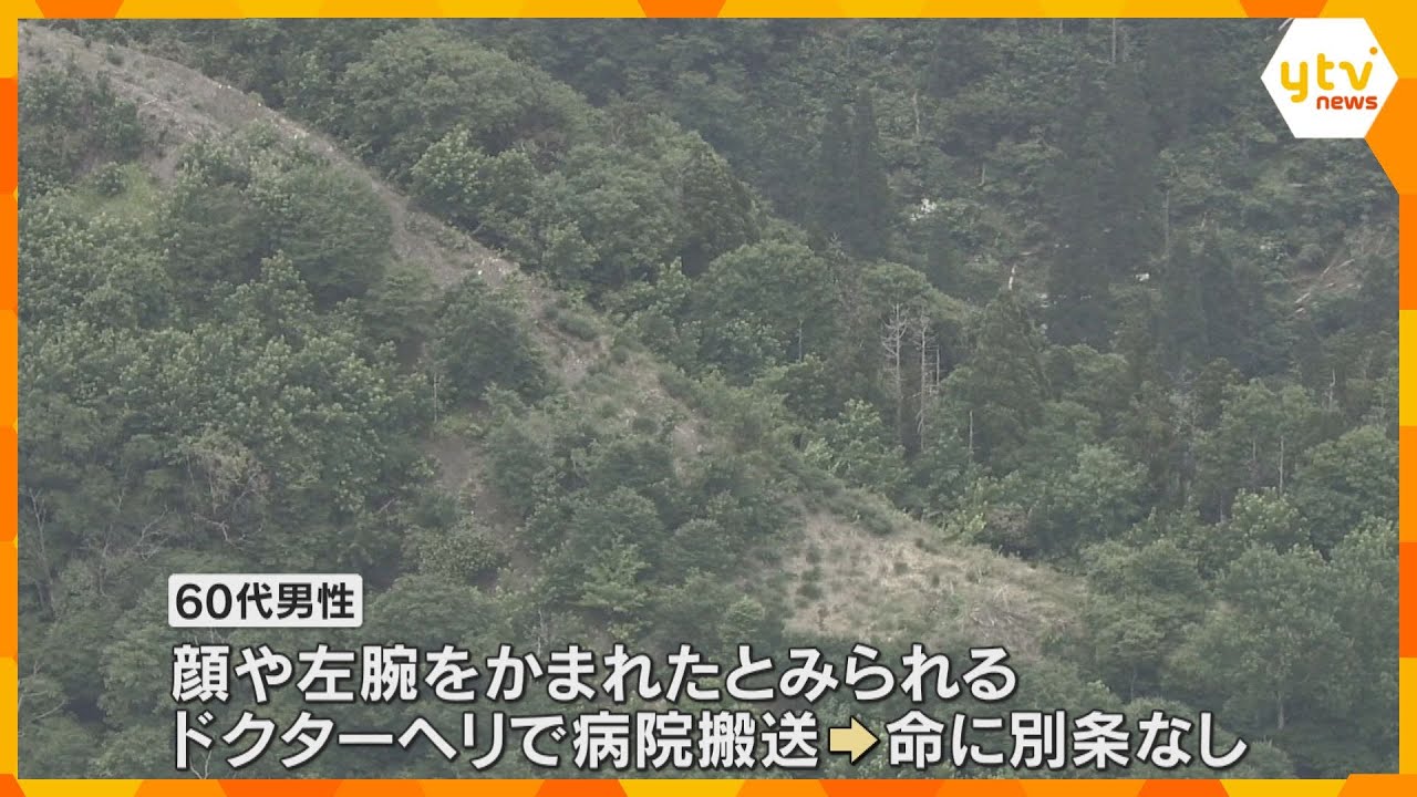 クマに襲われ60代の男性がケガ　体長1メートル以上か、顔や左腕をかむ　命に別条なし　滋賀・長浜市