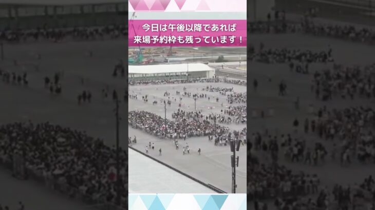 ↑リアルタイム配信はこちら↑ 6月12日(木)朝の万博会場東ゲート #shorts #読売テレビニュース #大阪関西万博 #万博