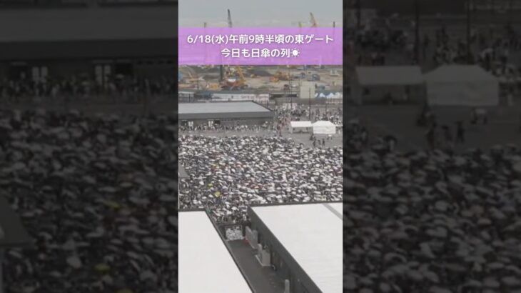 ↑リアルタイム配信はこちら↑ 6月18日(水)朝の万博会場東ゲート#読売テレビニュース #大阪関西万博 #万博