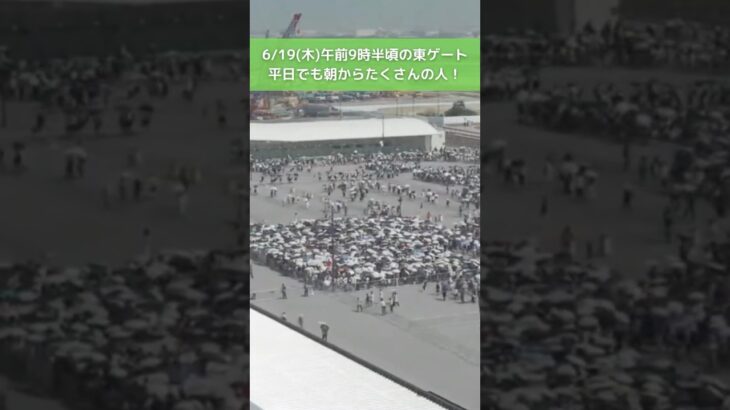 ↑リアルタイム配信はこちら↑ 6月19日(木)朝の万博会場東ゲート #読売テレビニュース #大阪関西万博 #万博