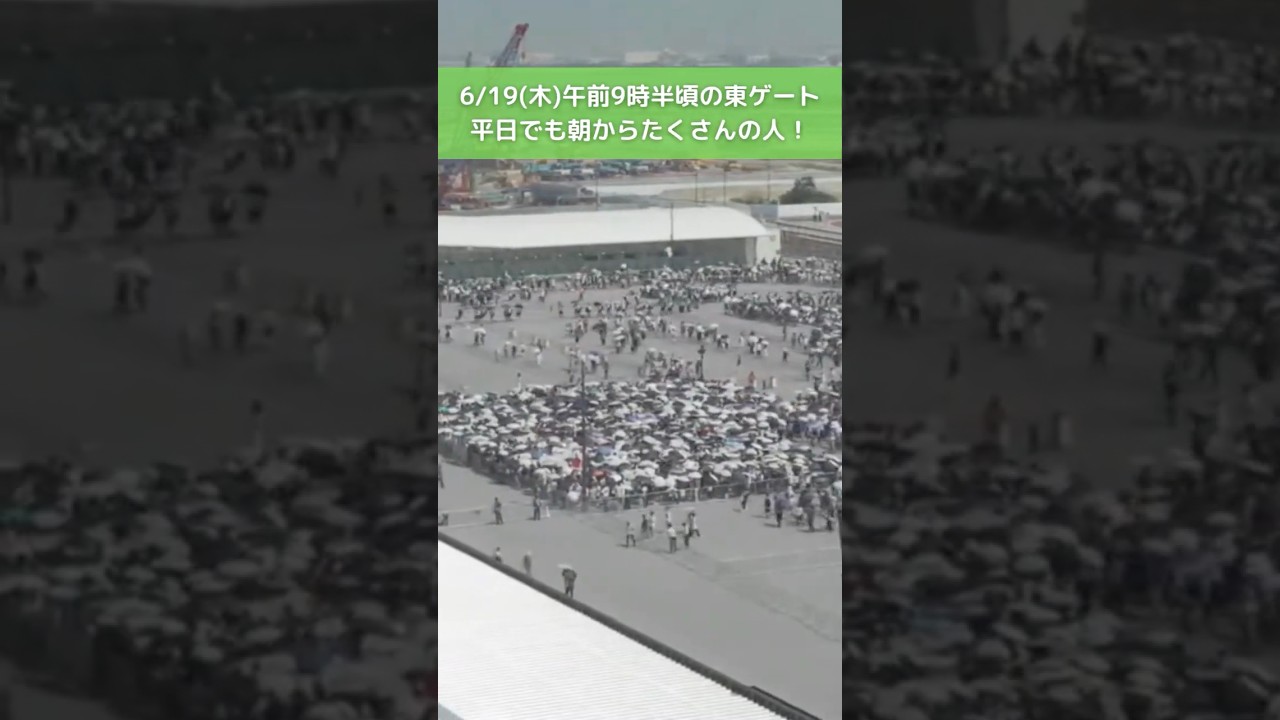 ↑リアルタイム配信はこちら↑ 6月19日(木)朝の万博会場東ゲート #読売テレビニュース #大阪関西万博 #万博