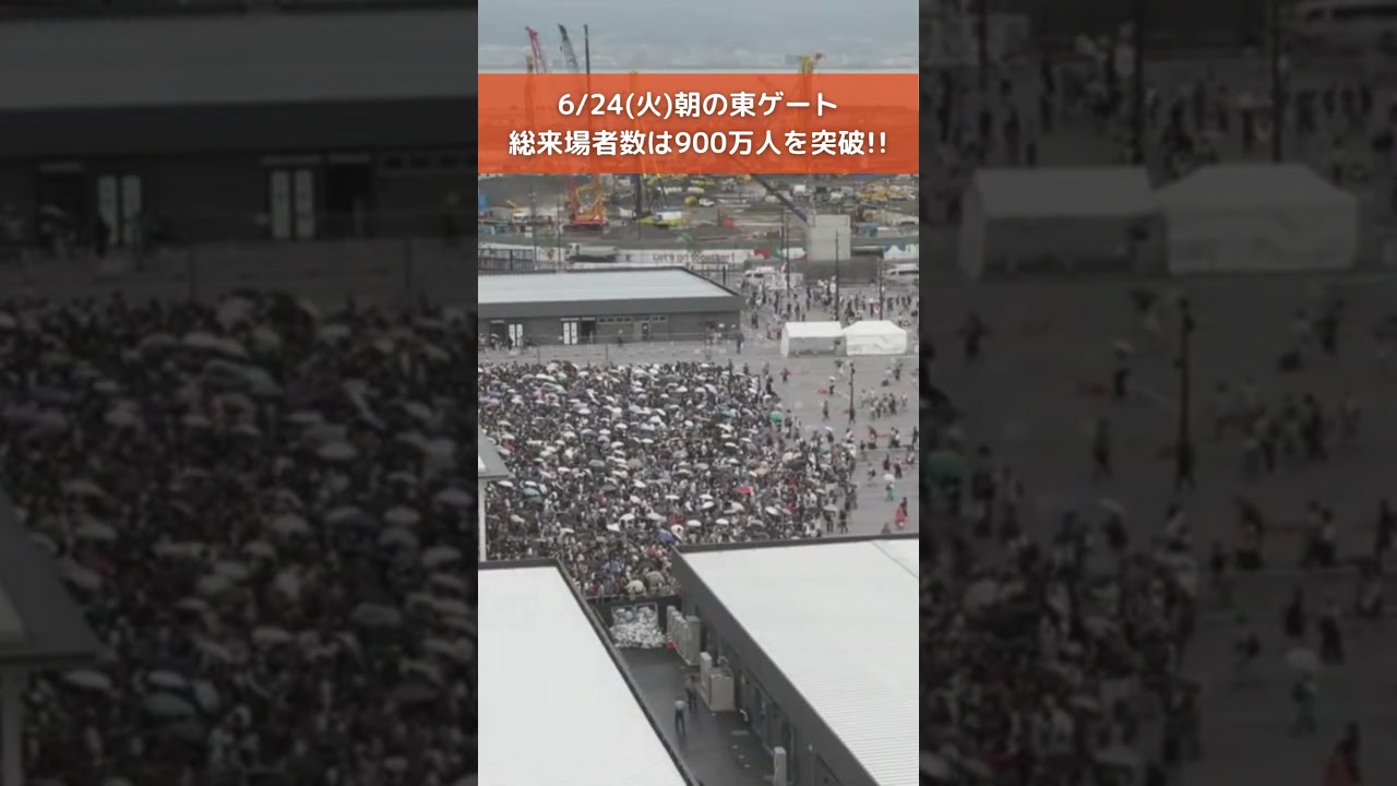 ↑リアルタイム配信はこちら↑ 6月24日(火)朝の万博会場東ゲート #読売テレビニュース #大阪関西万博 #万博