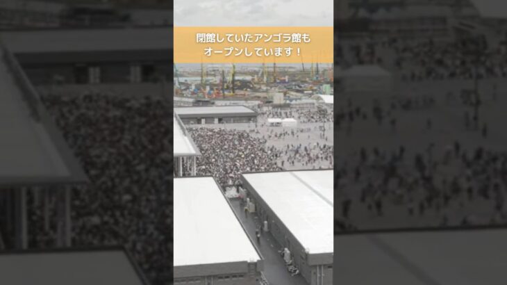 ↑リアルタイム配信はこちら↑ 6月26日(木)朝の万博会場東ゲート #読売テレビニュース #大阪関西万博 #万博