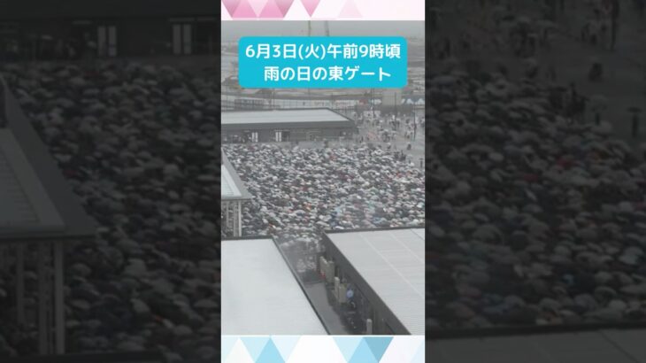 ↑リアルタイム配信はこちら↑6月3日(火)朝の万博会場東ゲート #shorts #読売テレビニュース #大阪関西万博 #万博