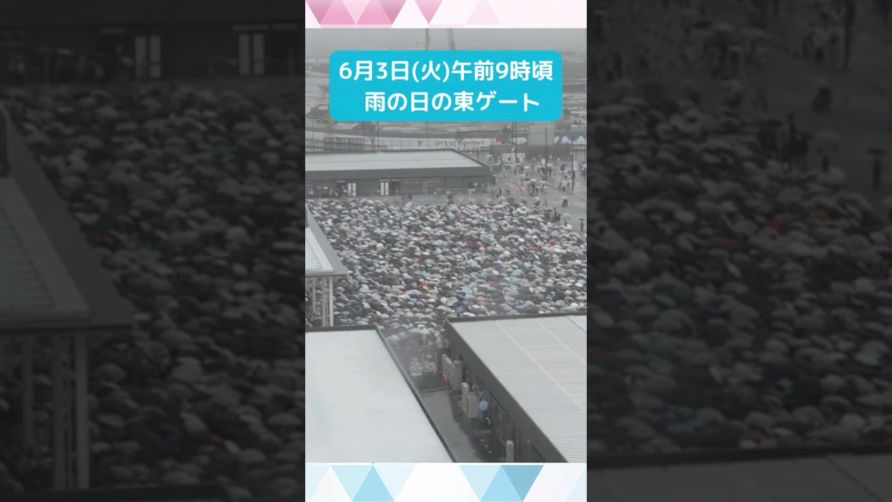 ↑リアルタイム配信はこちら↑6月3日(火)朝の万博会場東ゲート #shorts #読売テレビニュース #大阪関西万博 #万博