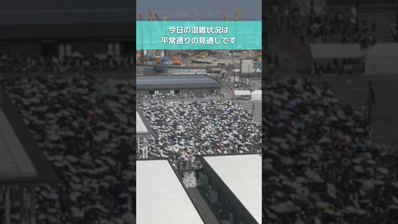 ↑リアルタイム配信はこちら↑ 6月30日(月)朝の万博会場東ゲート #読売テレビニュース #大阪関西万博 #万博