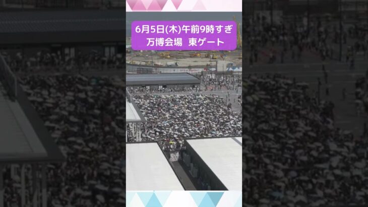 ↑リアルタイム配信はこちら↑6月5日(木)朝の万博会場東ゲート #shorts #読売テレビニュース #大阪関西万博 #万博