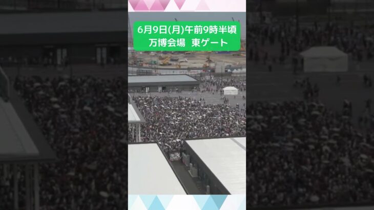 ↑リアルタイム配信はこちら↑6月9日(月)朝の万博会場東ゲート #shorts #読売テレビニュース #大阪関西万博 #万博