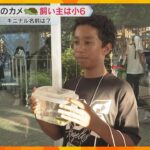 万博ベルギー館のカメ　引き取り手は小学生　70件超の応募から飼い主に　名前は万博から命名「万吉」