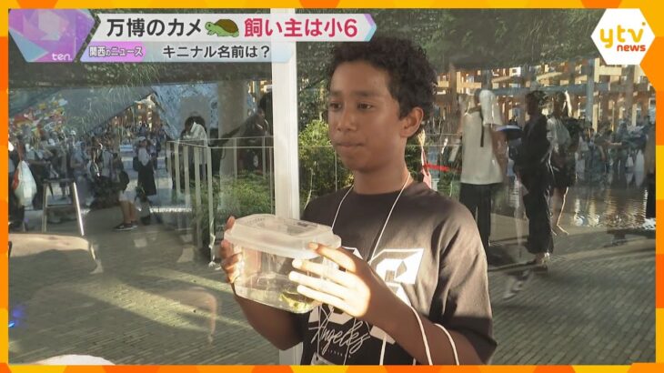 万博ベルギー館のカメ　引き取り手は小学生　70件超の応募から飼い主に　名前は万博から命名「万吉」
