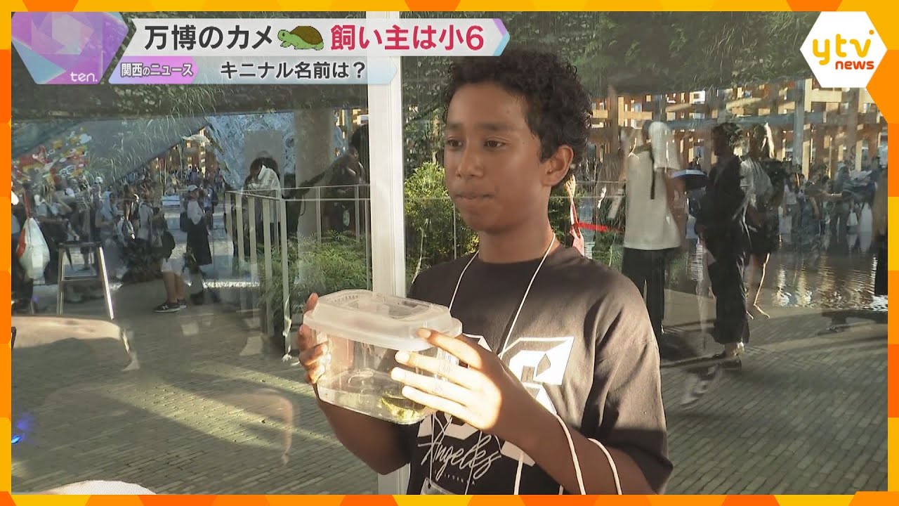 万博ベルギー館のカメ　引き取り手は小学生　70件超の応募から飼い主に　名前は万博から命名「万吉」