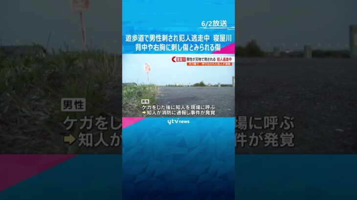 遊歩道で男性刺される　犯人は逃走中　背中や右胸には刺し傷とみられる複数の傷、命に別条なし　寝屋川　#shorts　#読売テレビニュース