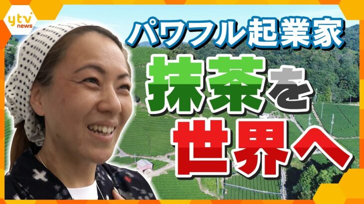 伝統の“抹茶”を未来へ　京都・和束町と世界の架け橋を目指す女性　8か国語を操り、宇治茶の歴史を後世へ残す【かんさい情報ネット ten.特集/ノゾキミ】